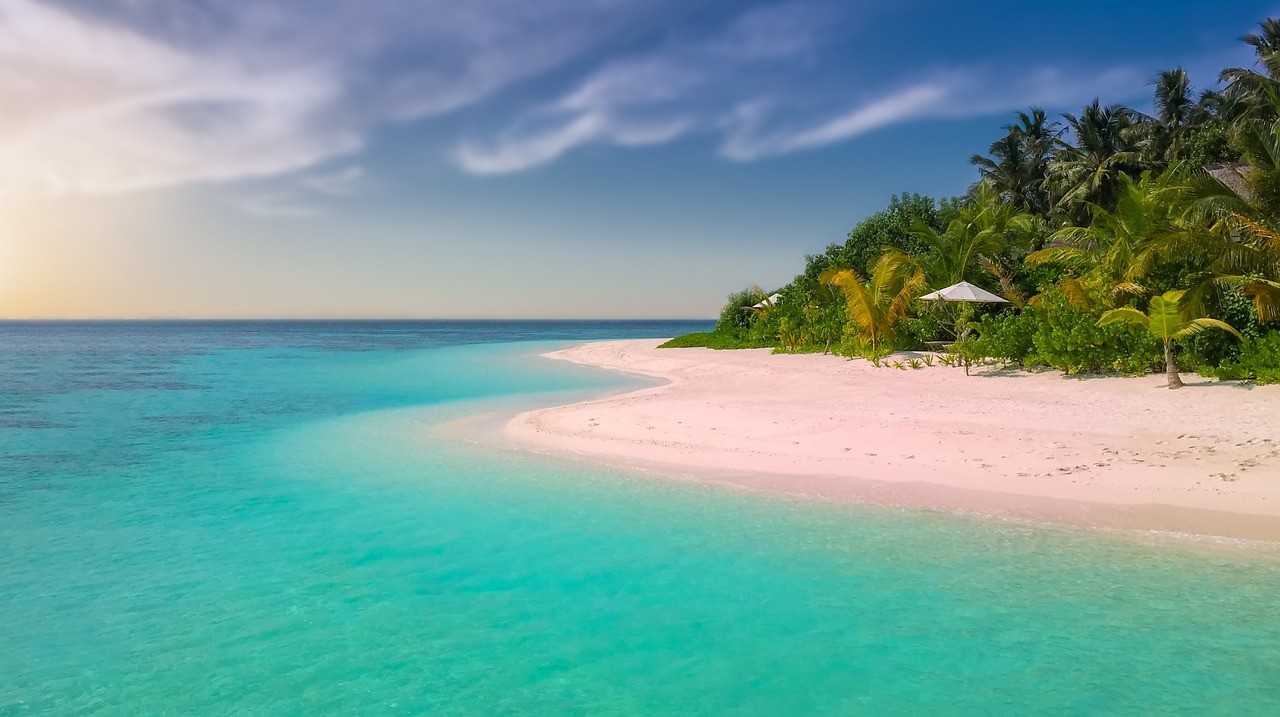 A tropical lagoon with turquoise water and a palm-lined shore at golden hour